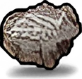 Plant Fossil icon